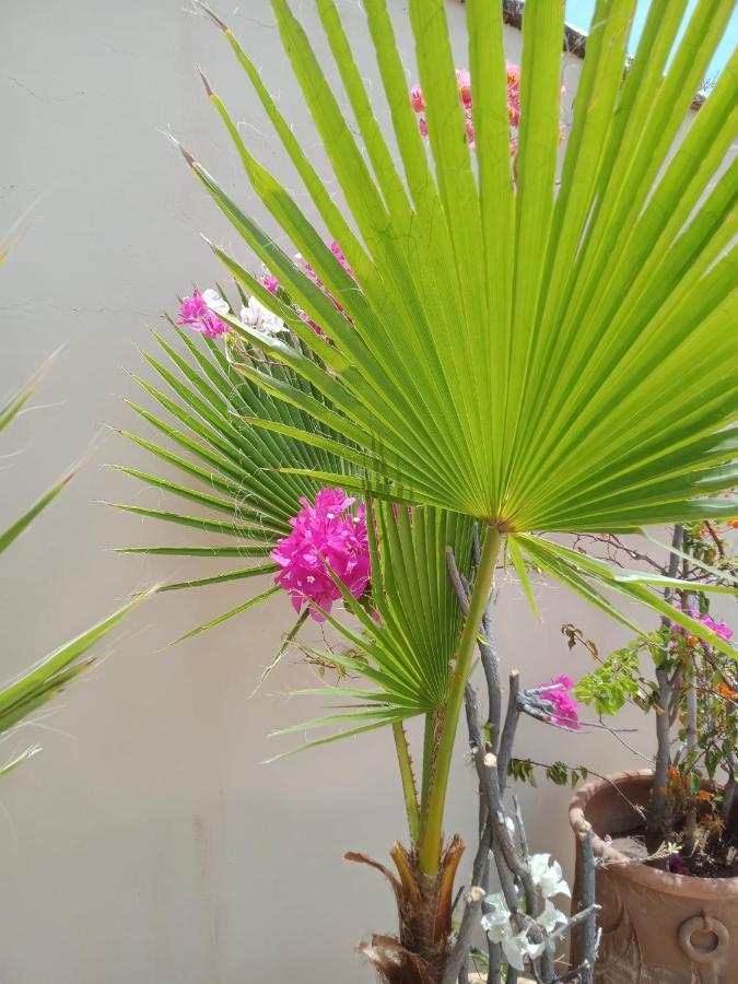 מרקש Riad Sahara Nour מראה חיצוני תמונה