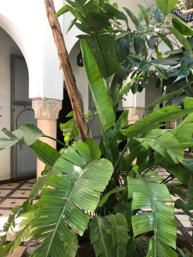 מרקש Riad Sahara Nour מראה חיצוני תמונה